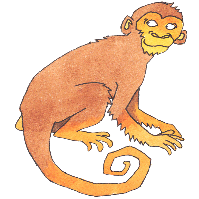 Chinese Zodiac Astrology | Animal sign Monkey