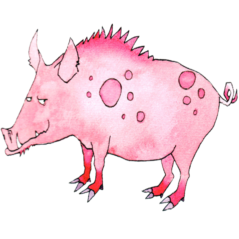 Chinese Astrology | Animal sign Pig