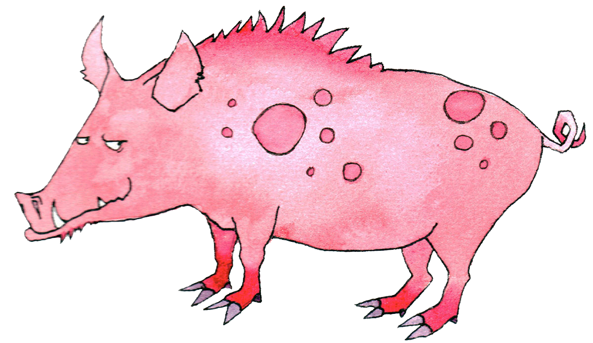 Chinese Zodiac Astrology | Pig