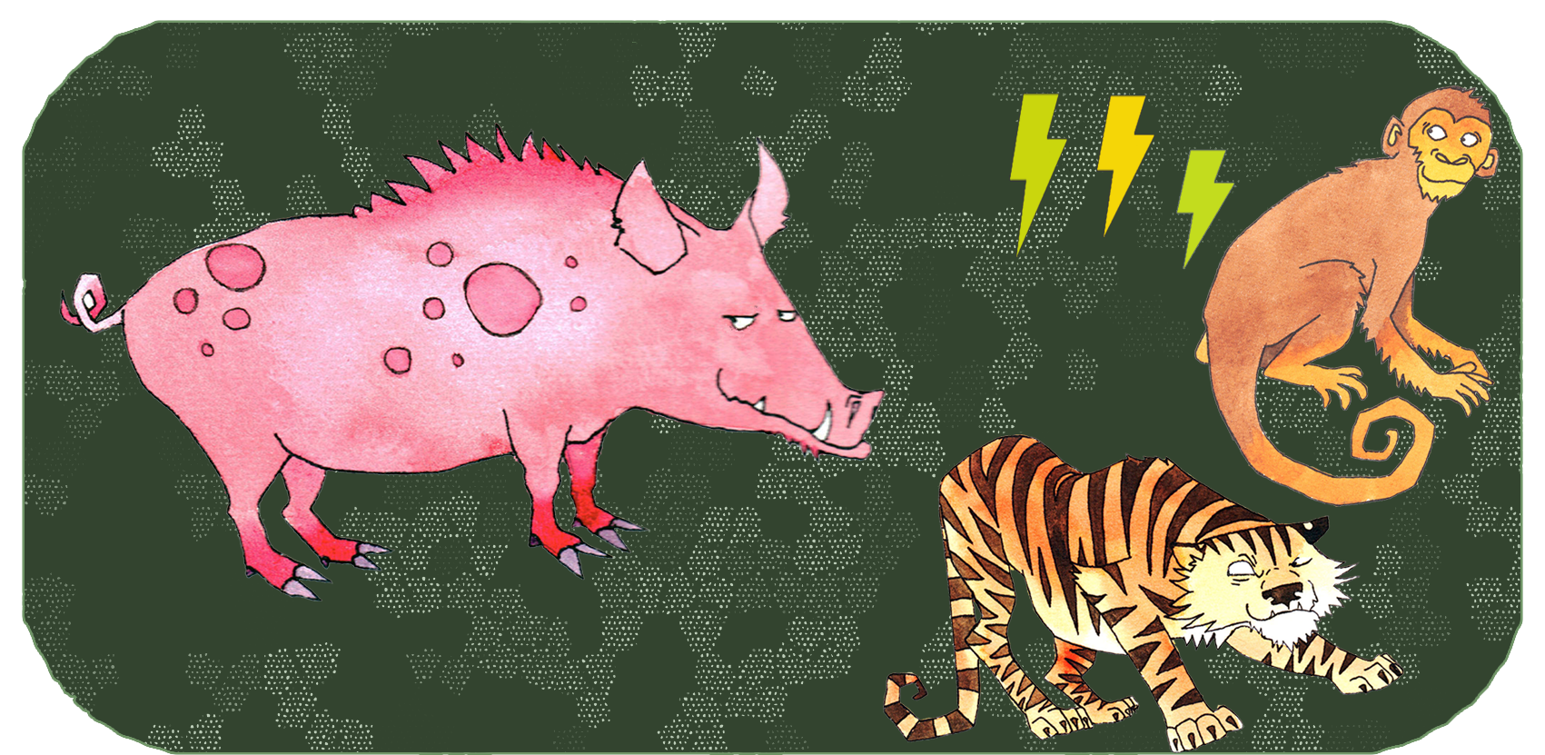 Chinese zodiac animals | 3 years apart | The Pig