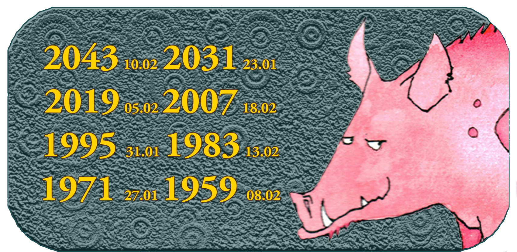 Chinese Zodiac Animal Year | The Twelve Chinese Animals | Animal No. 12 Pig